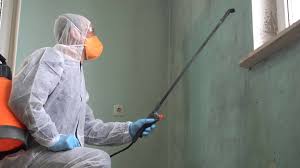 Why You Should Choose Our Mold Remediation Services in Prospect, OH